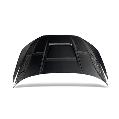 Audi RS3 8Y carbon fiber hood profile contour view